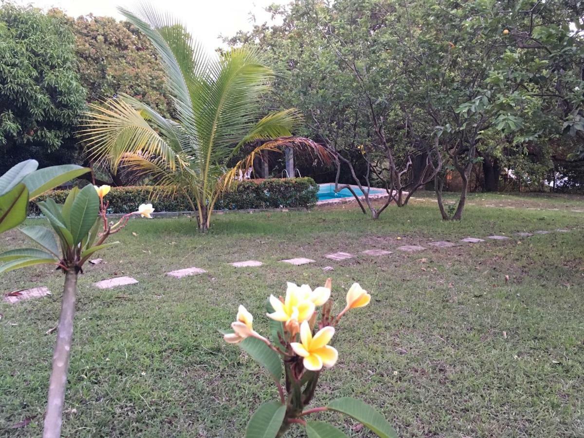 הוילה Bagac Native House With Beautiful Pool מראה חיצוני תמונה